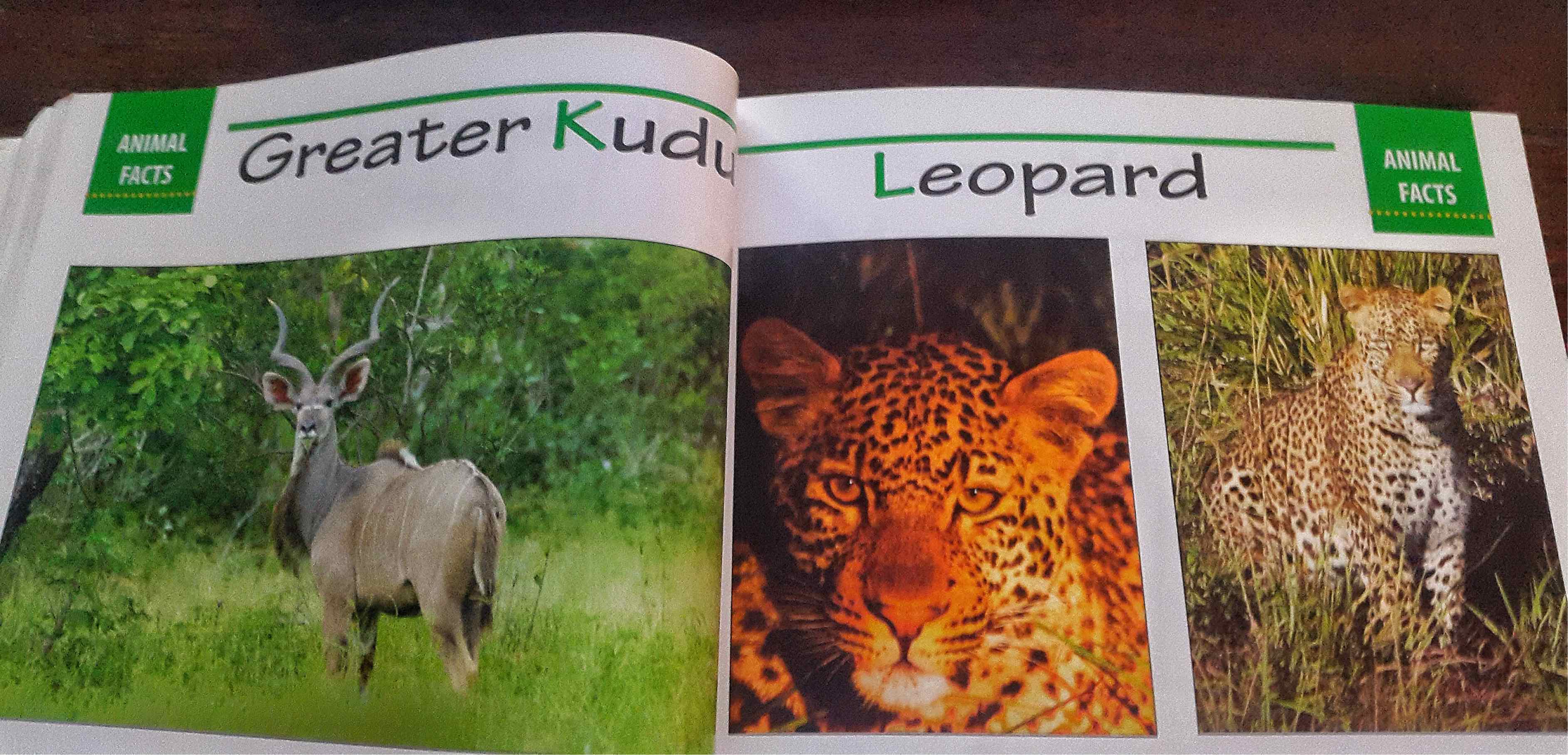 From The Sobo Guide to Malawi's Mammals